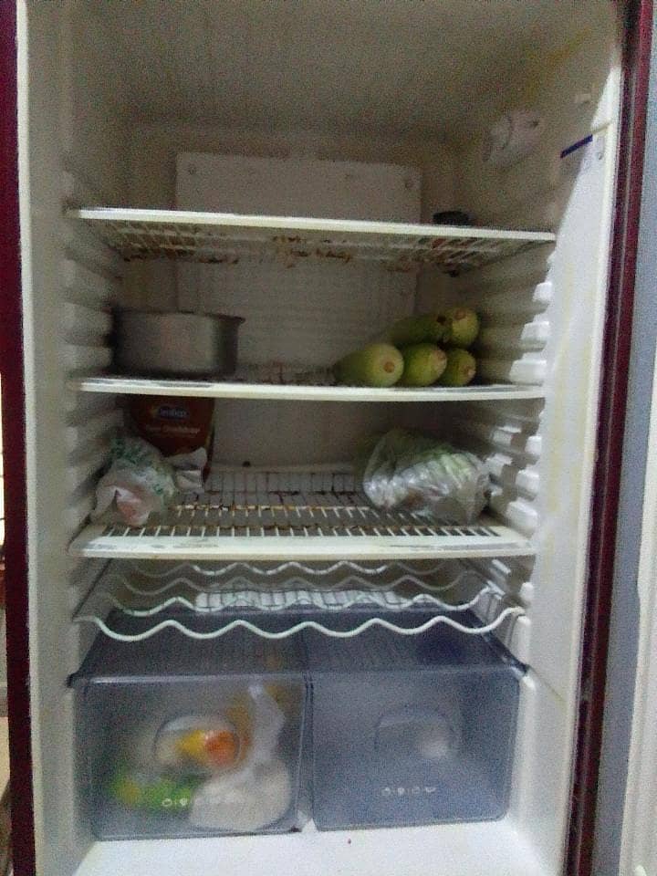 Orient refrigerator 1