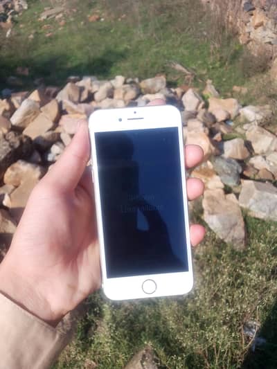Apple iPhone 7