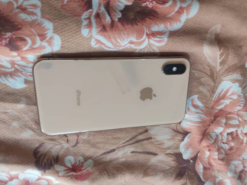 Apple iPhone XS 1