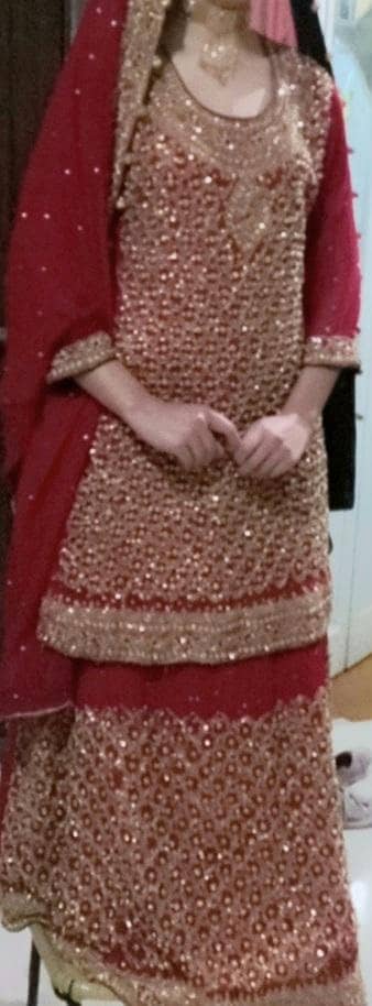 Rose Red colour fully embroided lehnga