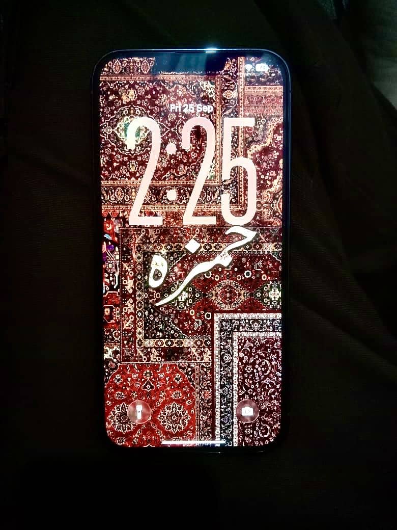 Apple iPhone 13 Pro Max 5
