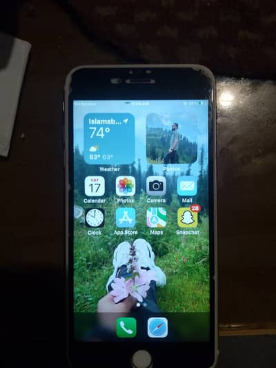 Apple iPhone 6S Plus