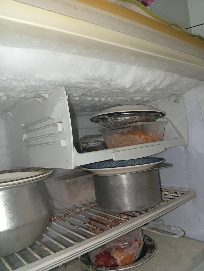 full size  freezer 1