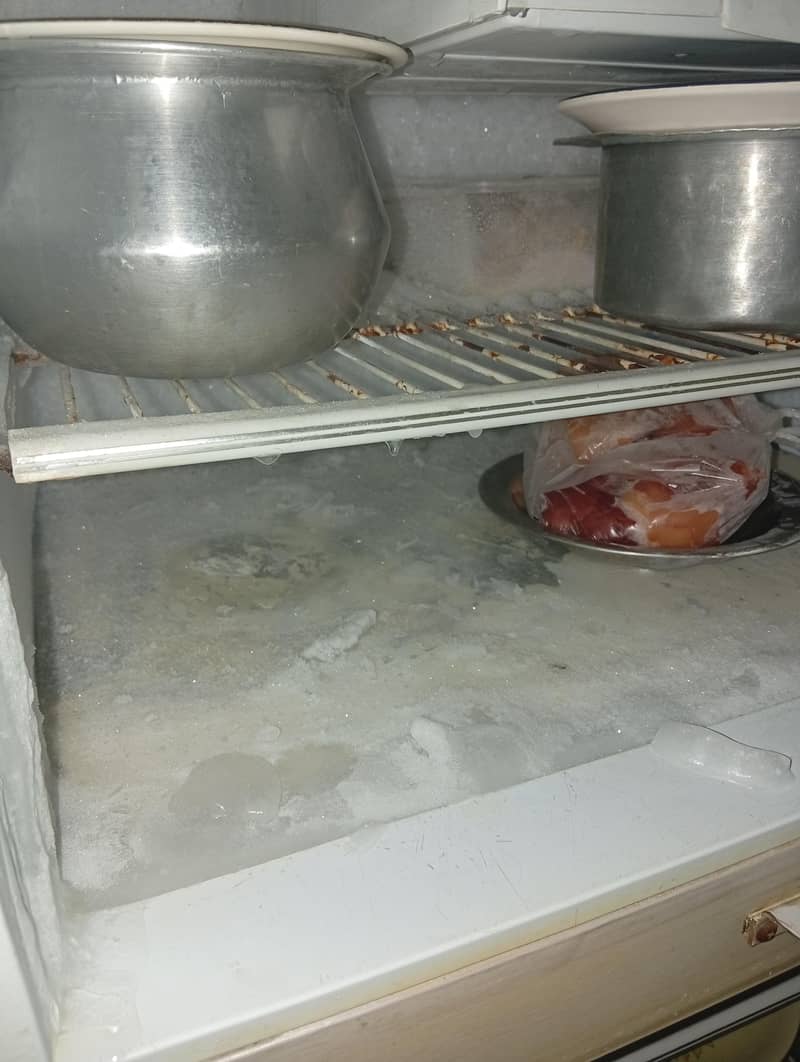 full size  freezer 2