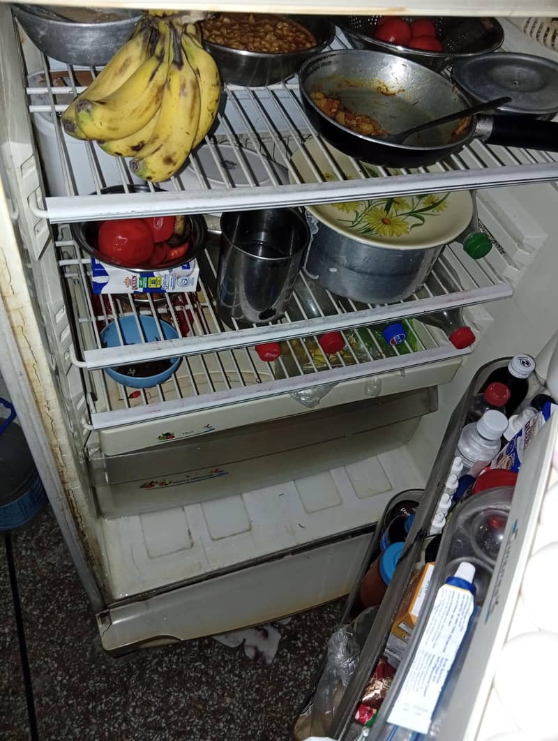 full size  freezer 3