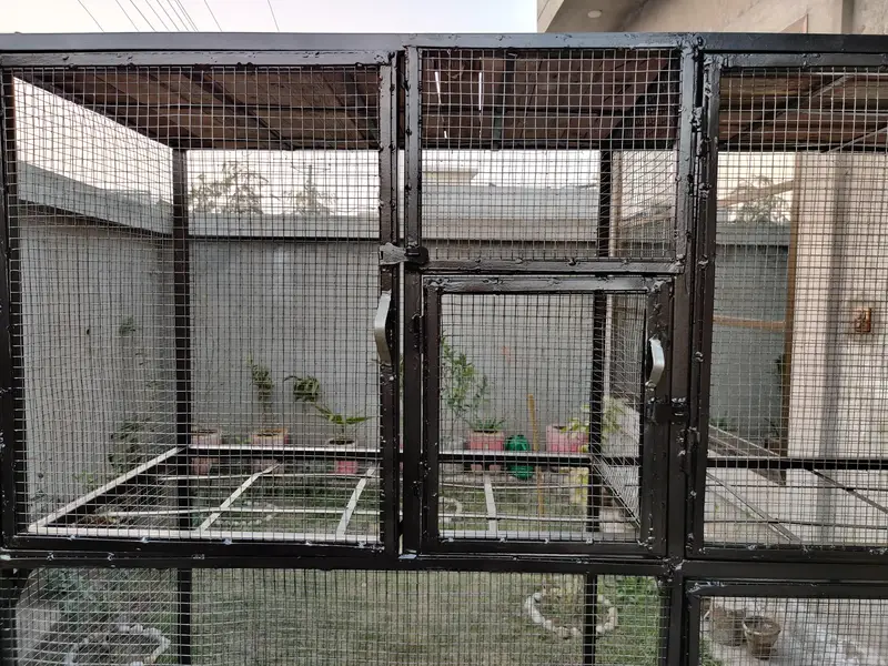 New Large Iron Cage for birds, hens, pigeon and parrots, — photo 8