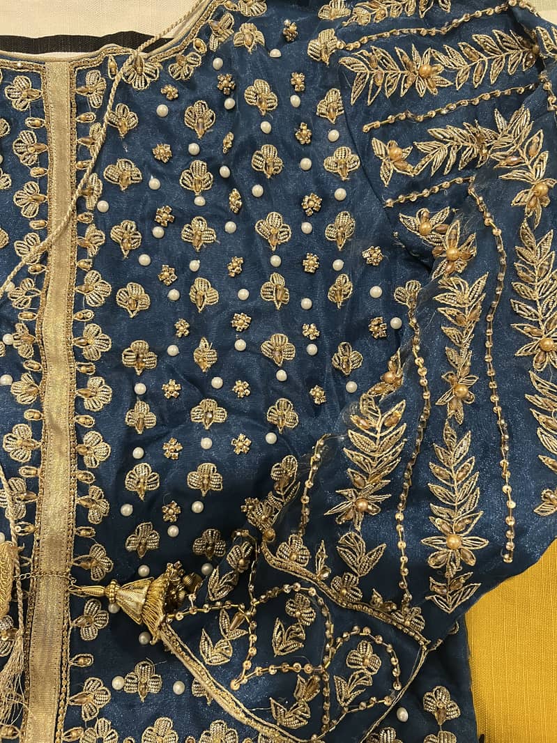 Fancy Lehnga 2