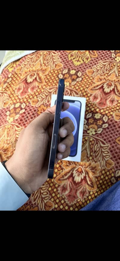 Apple iPhone 12