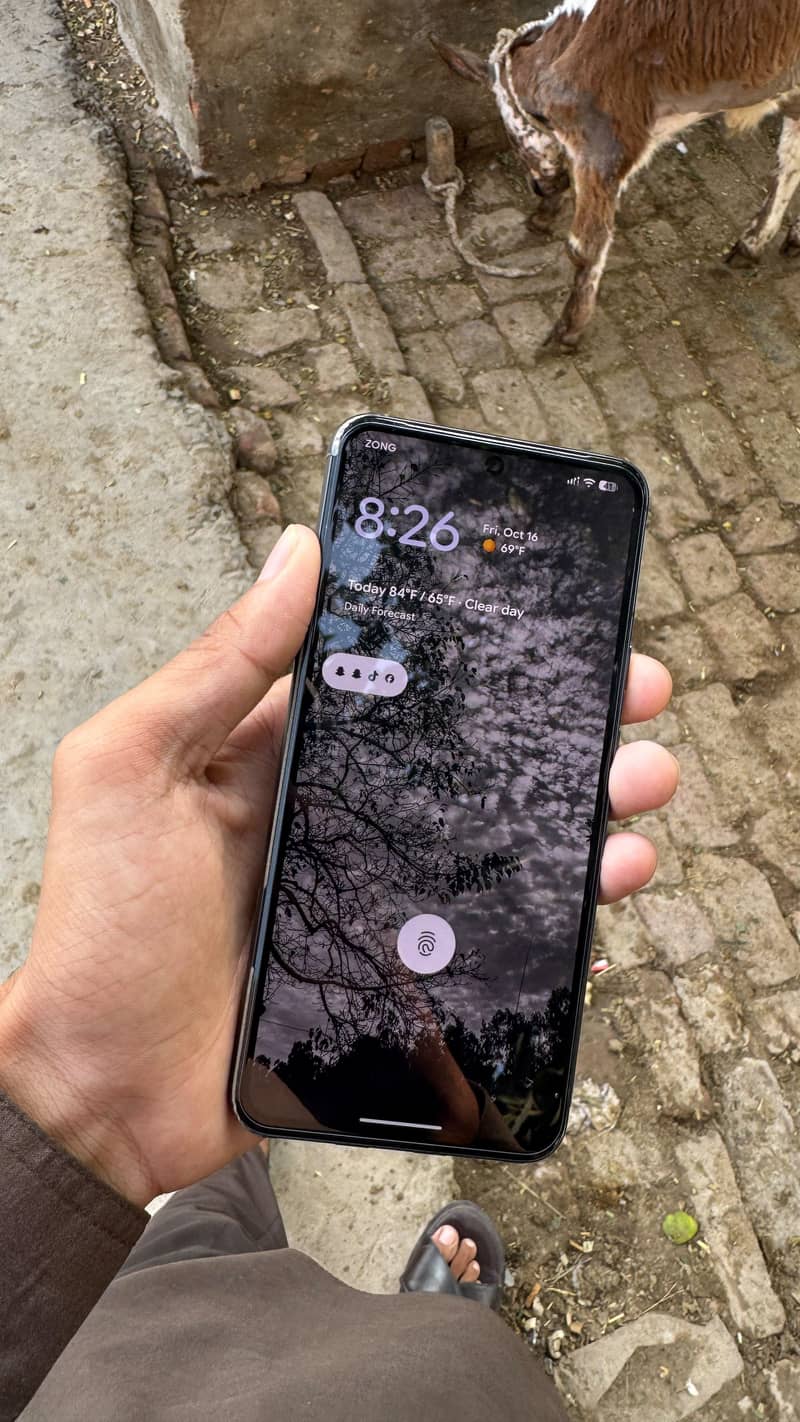 Google Pixel 8 4