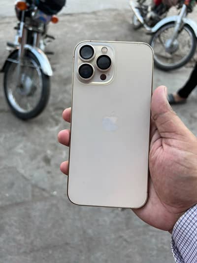 Apple iPhone 13 Pro Max