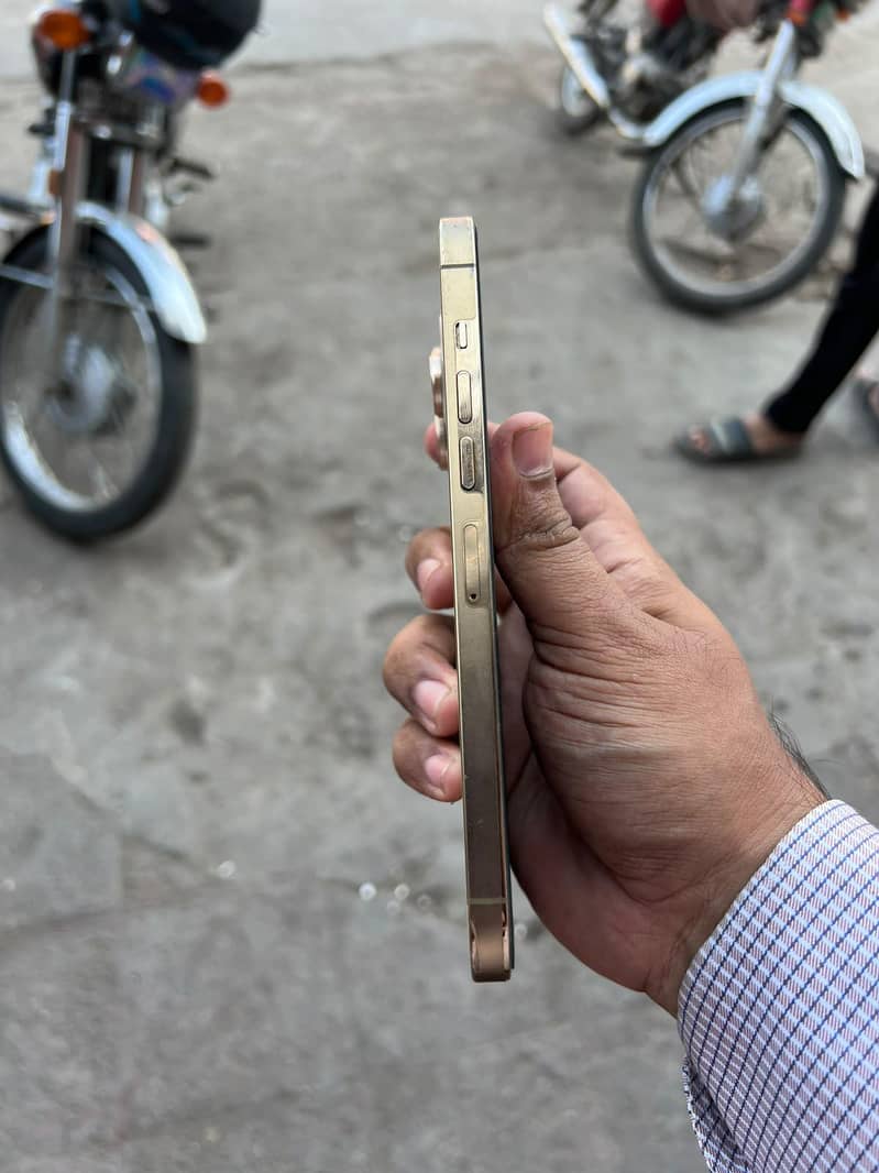 Apple iPhone 13 Pro Max 2