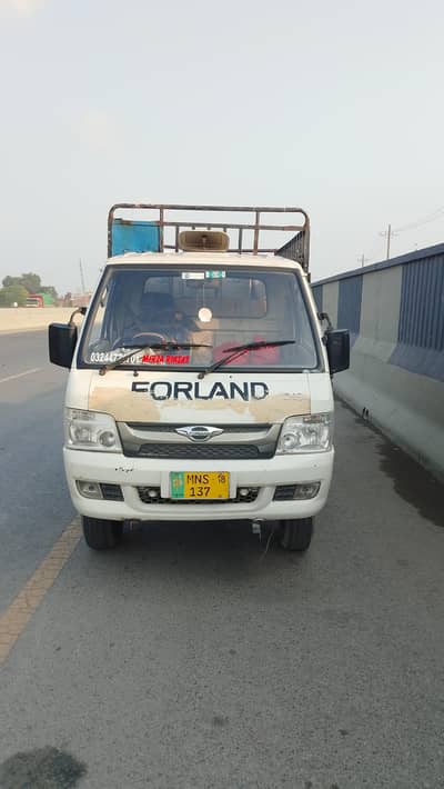 forland c19
