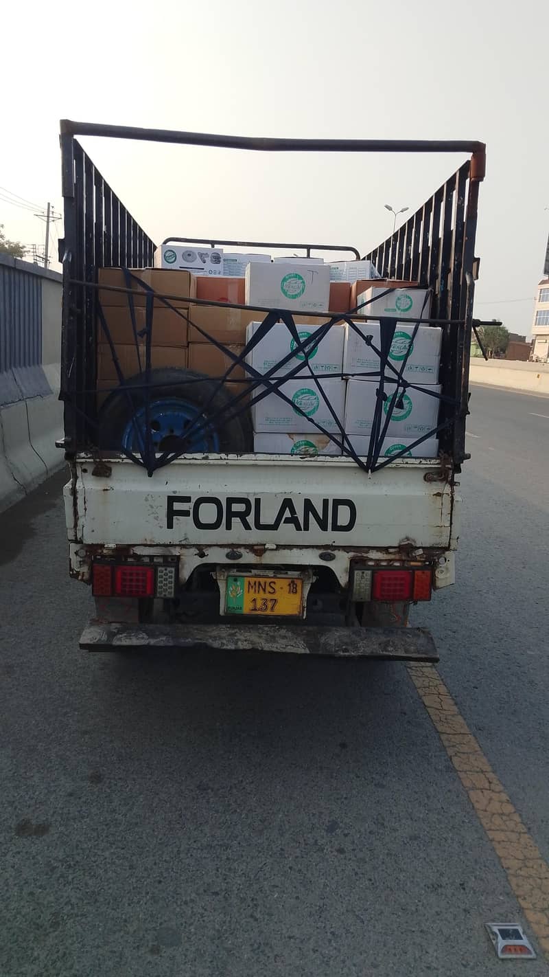 forland c19 1