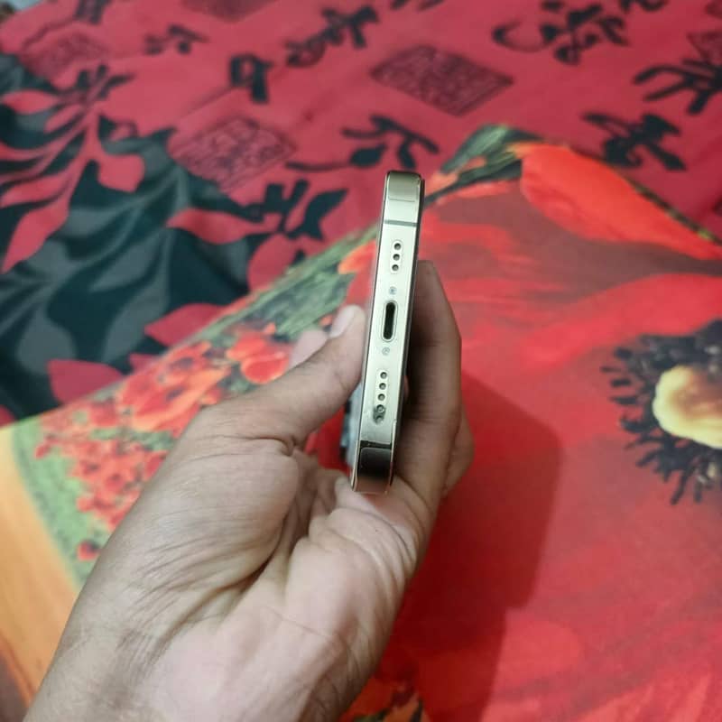 Apple iPhone 13 Pro 2