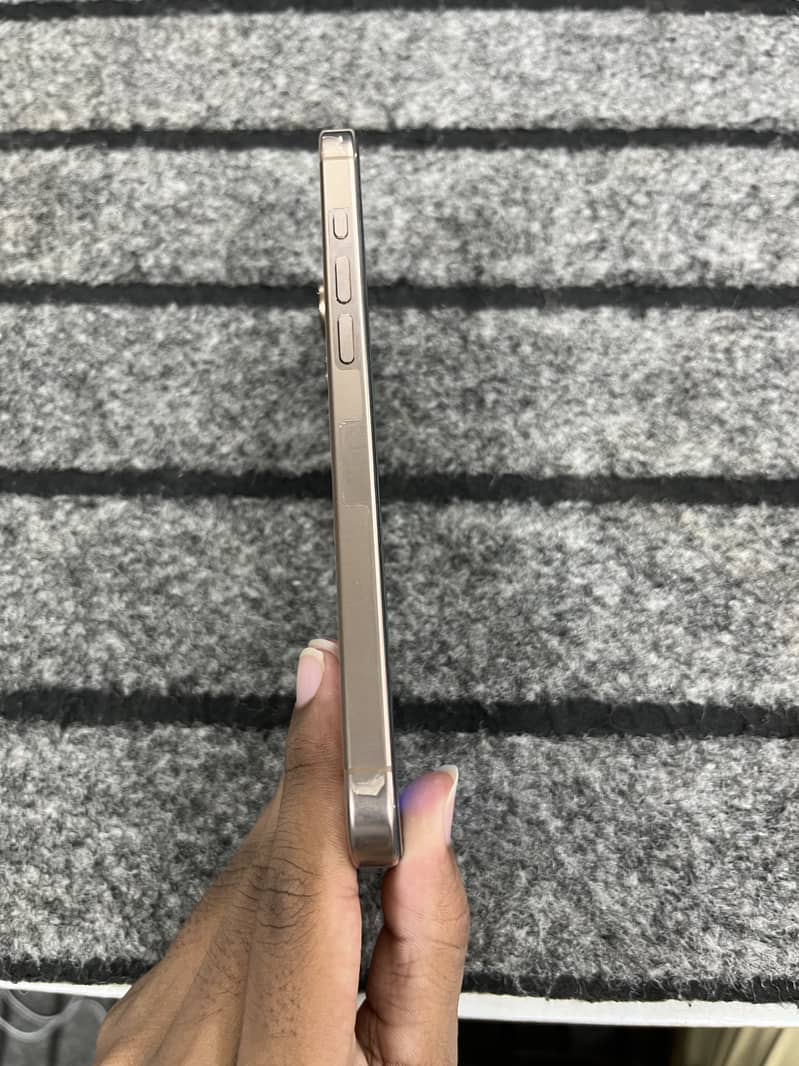Apple iPhone 16 Pro Max 2