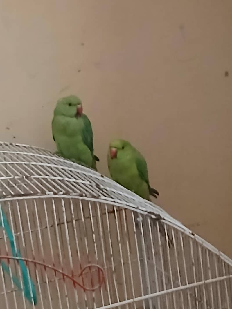 green 0