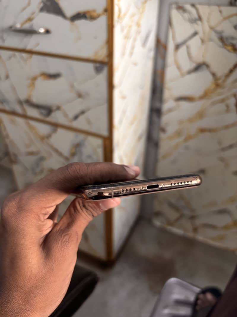 Apple iPhone XS Max 2