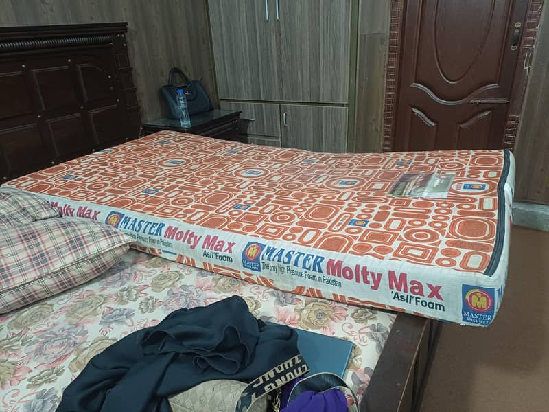 master molty foam single 8
