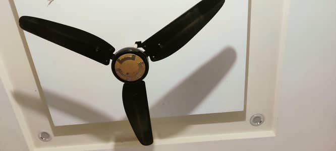 Darson Fans 1pc  Rs 5000