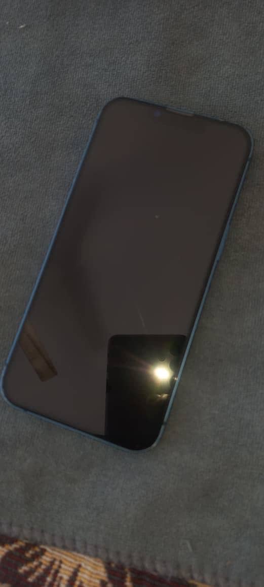Apple iPhone 13 0