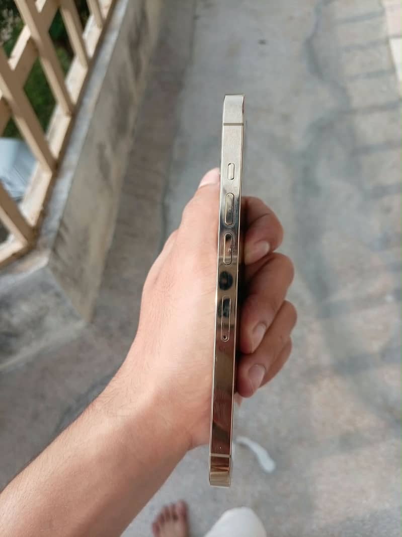 Apple iPhone 13 Pro 1