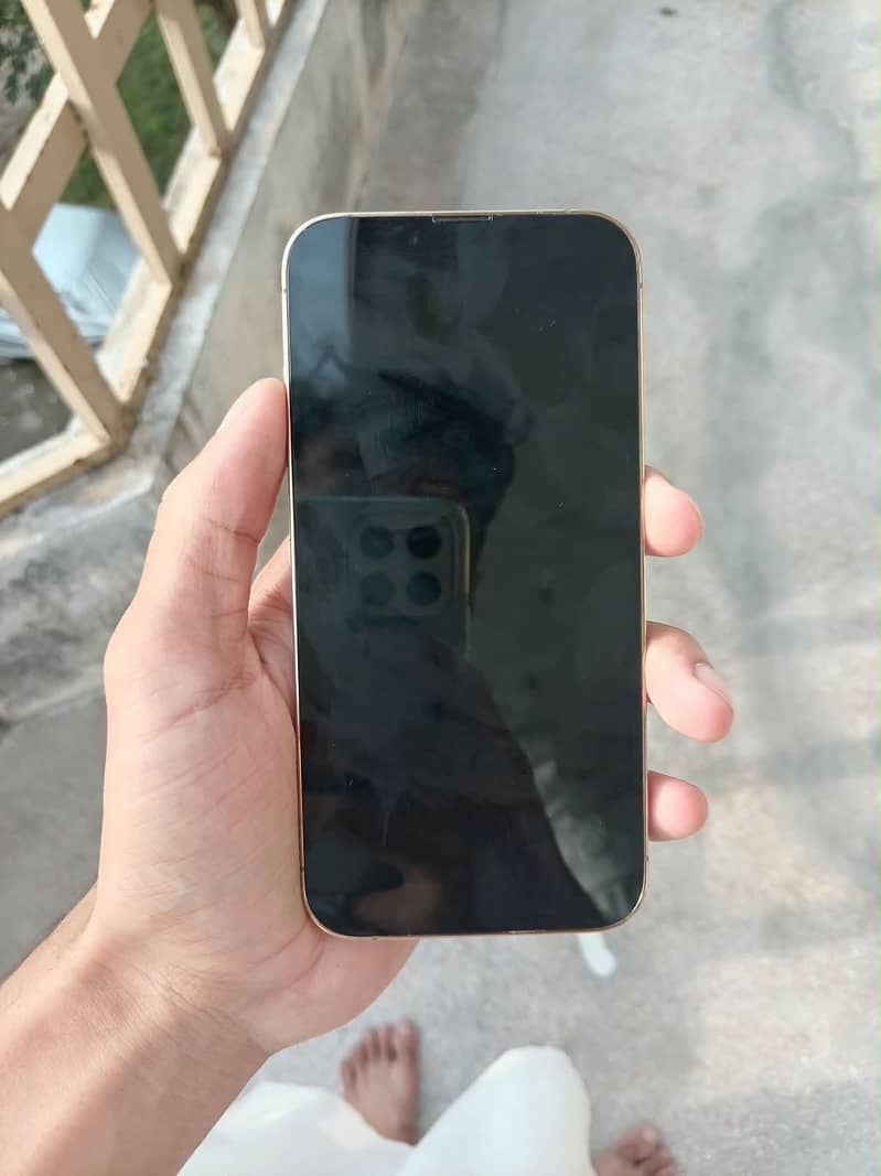 Apple iPhone 13 Pro 3