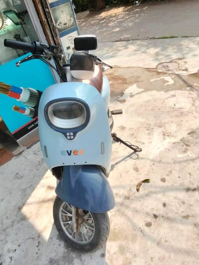 evee nisa urgent for sale