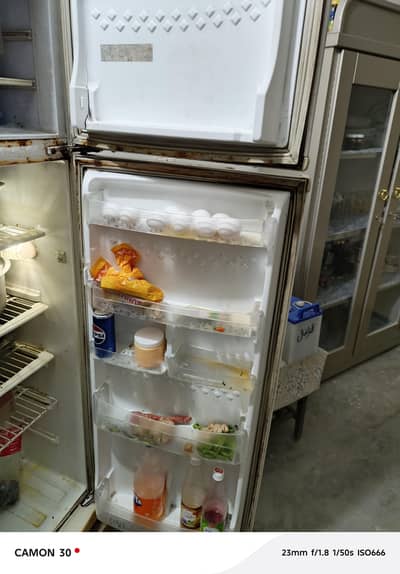 Refrigerator PEL