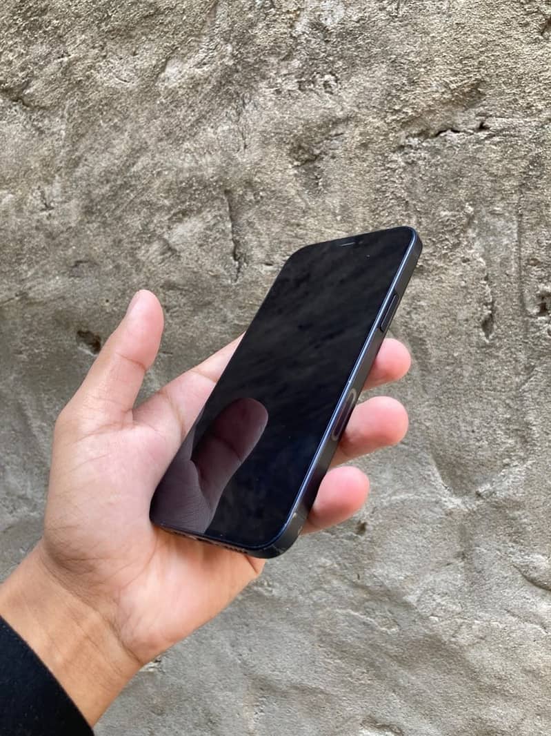 Apple iPhone 12 0