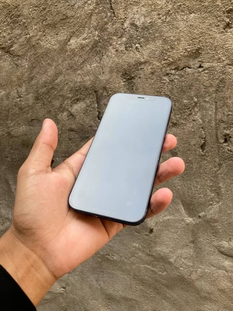 Apple iPhone 12 1