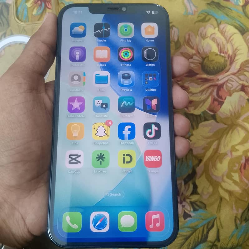 Apple iPhone 12 Pro Max 6