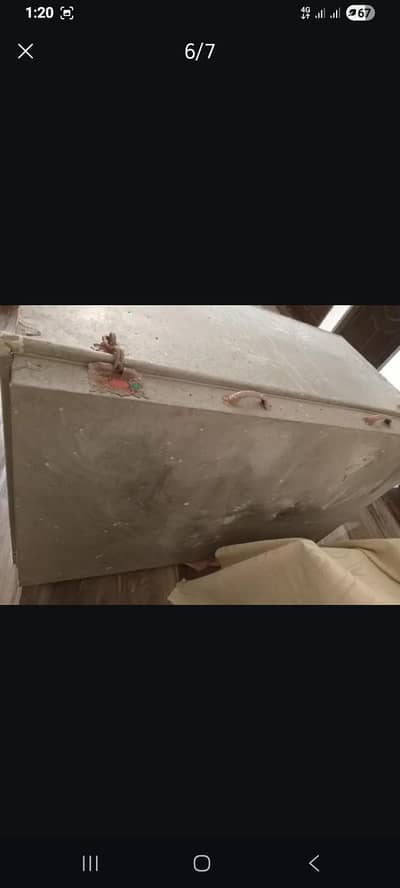 Trunk Pati