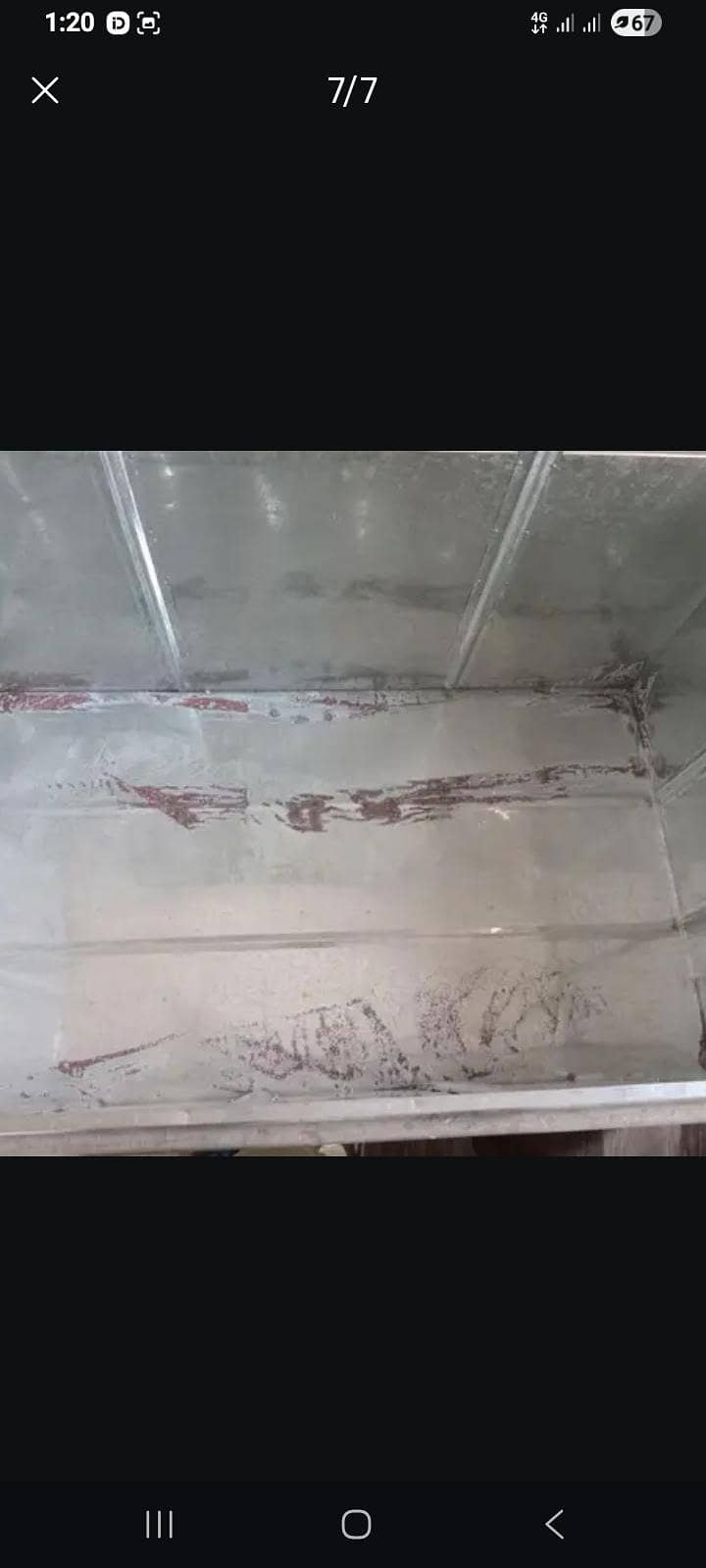 Trunk Pati 4