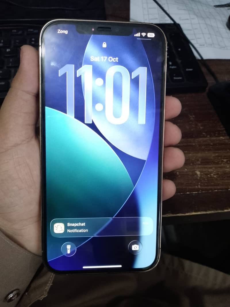 Apple iPhone 12 Pro Max 5