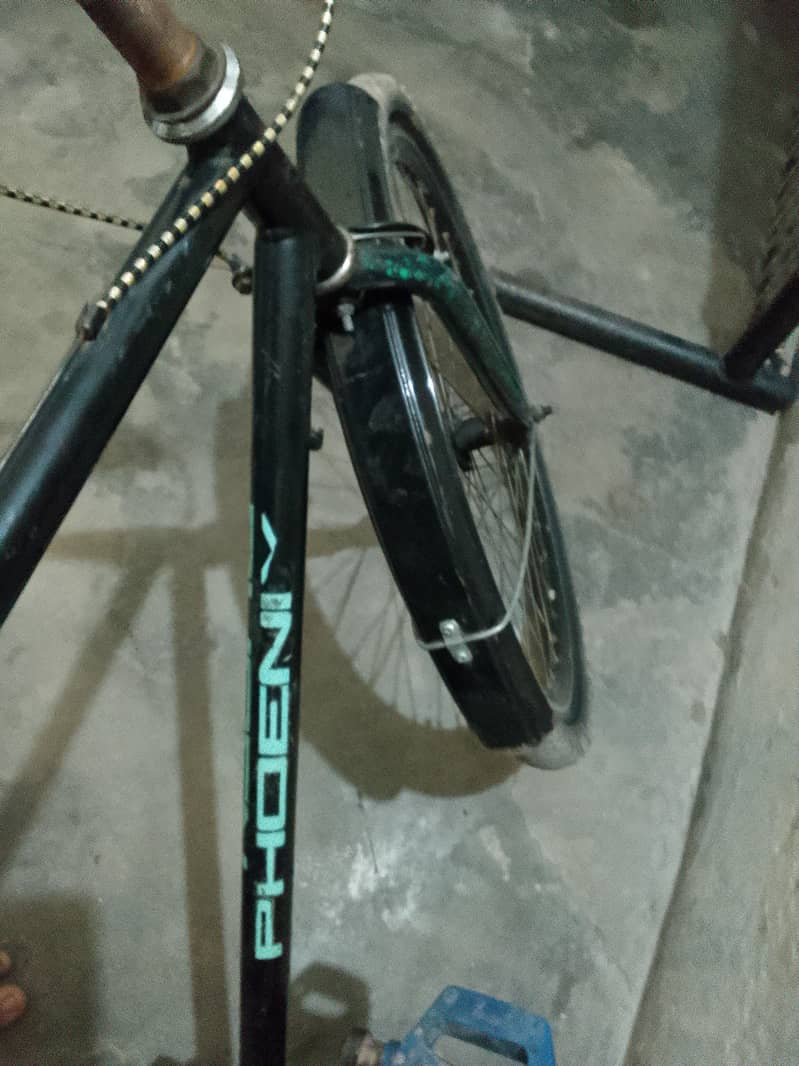 bicycle phoenix 1