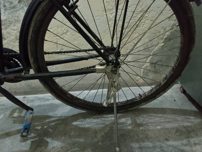 bicycle phoenix 2
