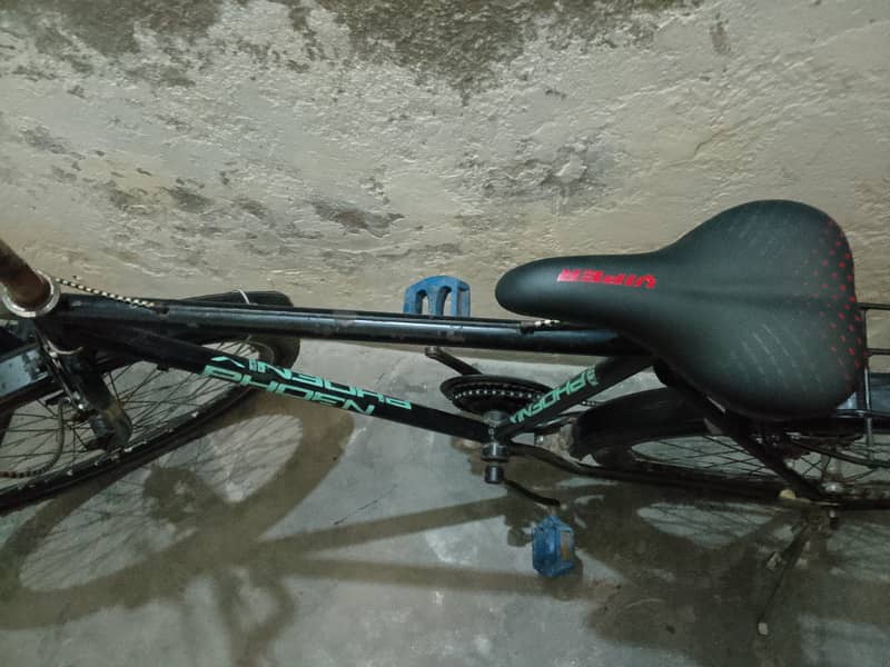 bicycle phoenix 4
