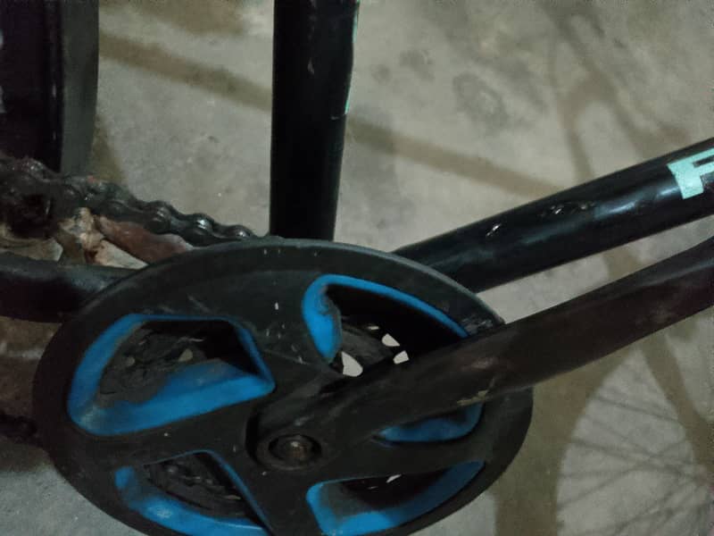 bicycle phoenix 6