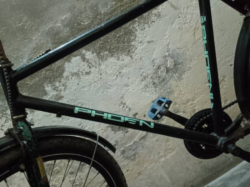 bicycle phoenix 7