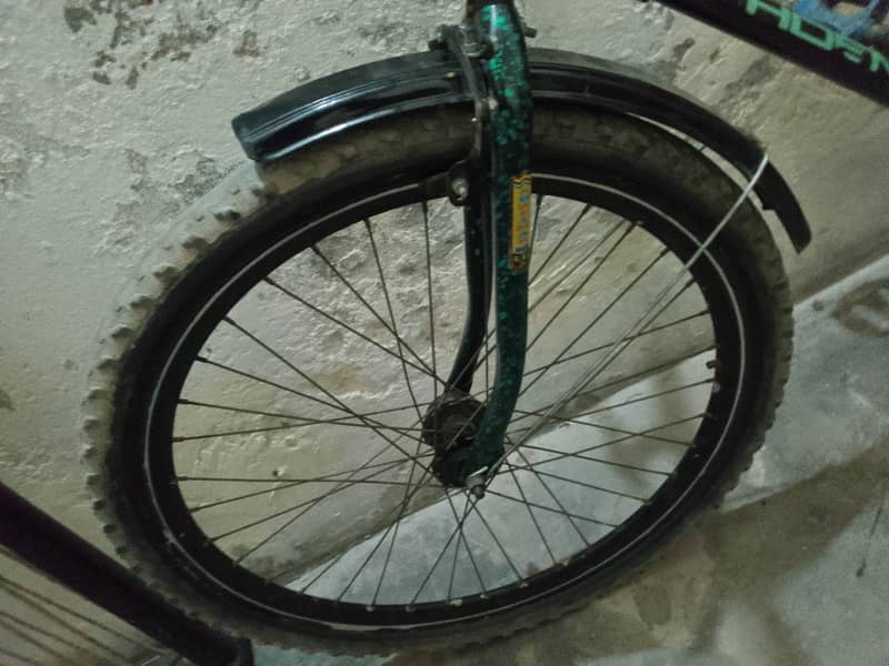 bicycle phoenix 8