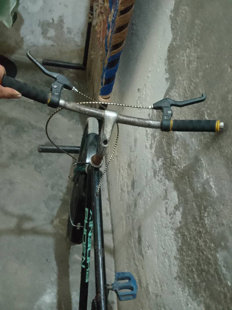 bicycle phoenix 9