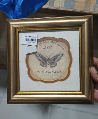 Imported Wall Hanging Plates and Showpiece.