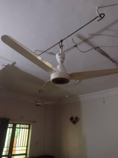 pak fan
