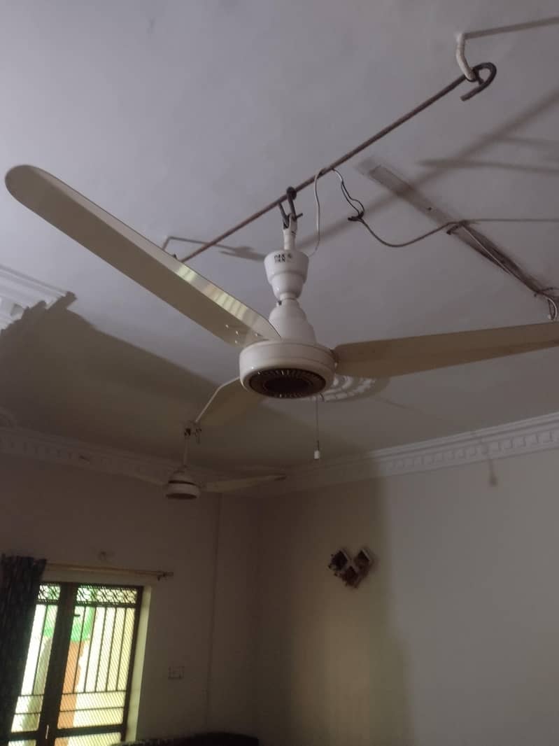 pak fan 0
