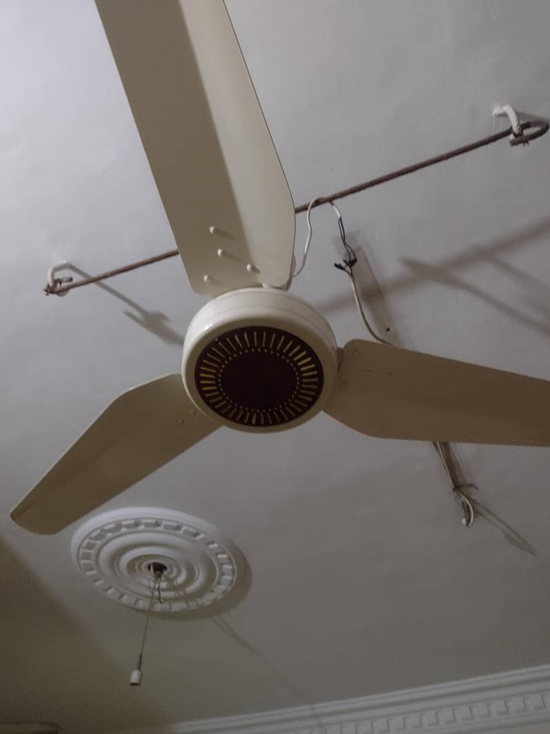 pak fan 1