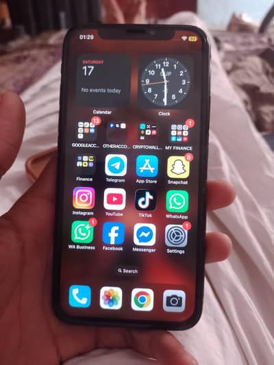 Apple iPhone X