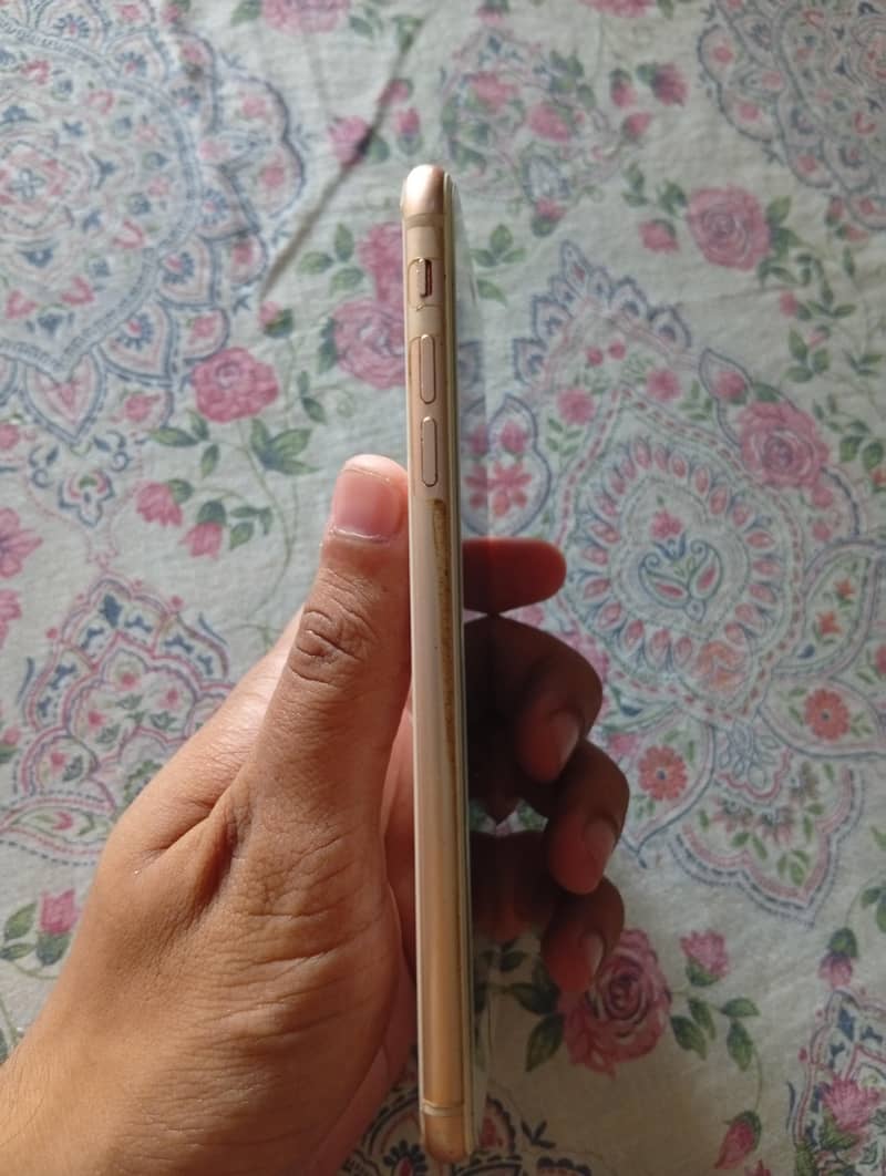 Apple iPhone 8 Plus 3