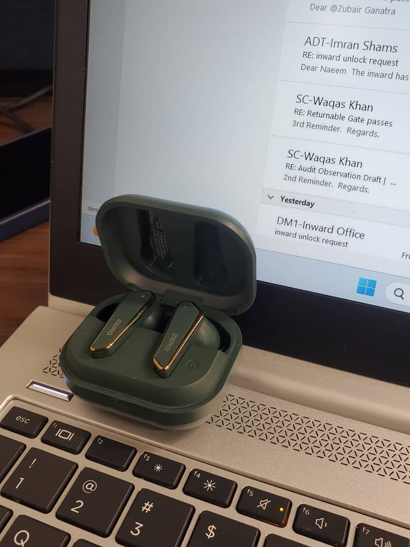 Zero Flair Earbuds 1