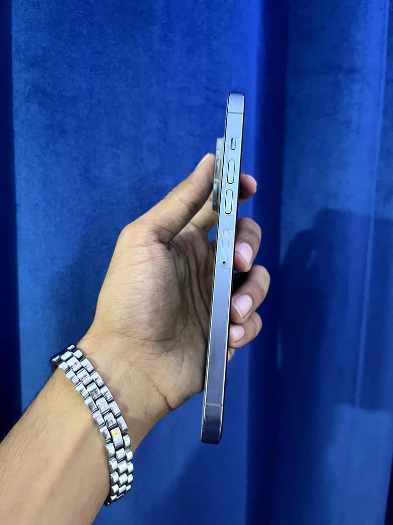 Apple iPhone 13 Pro Max 6