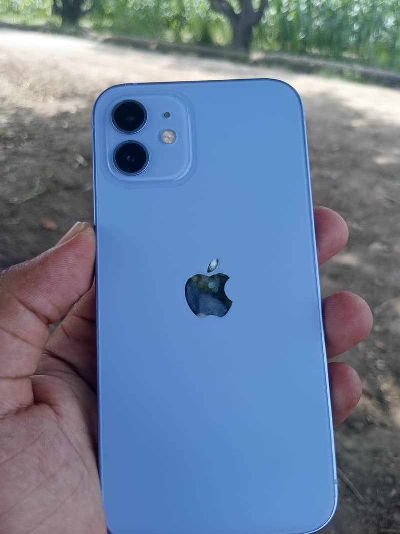 Apple iPhone 12 1